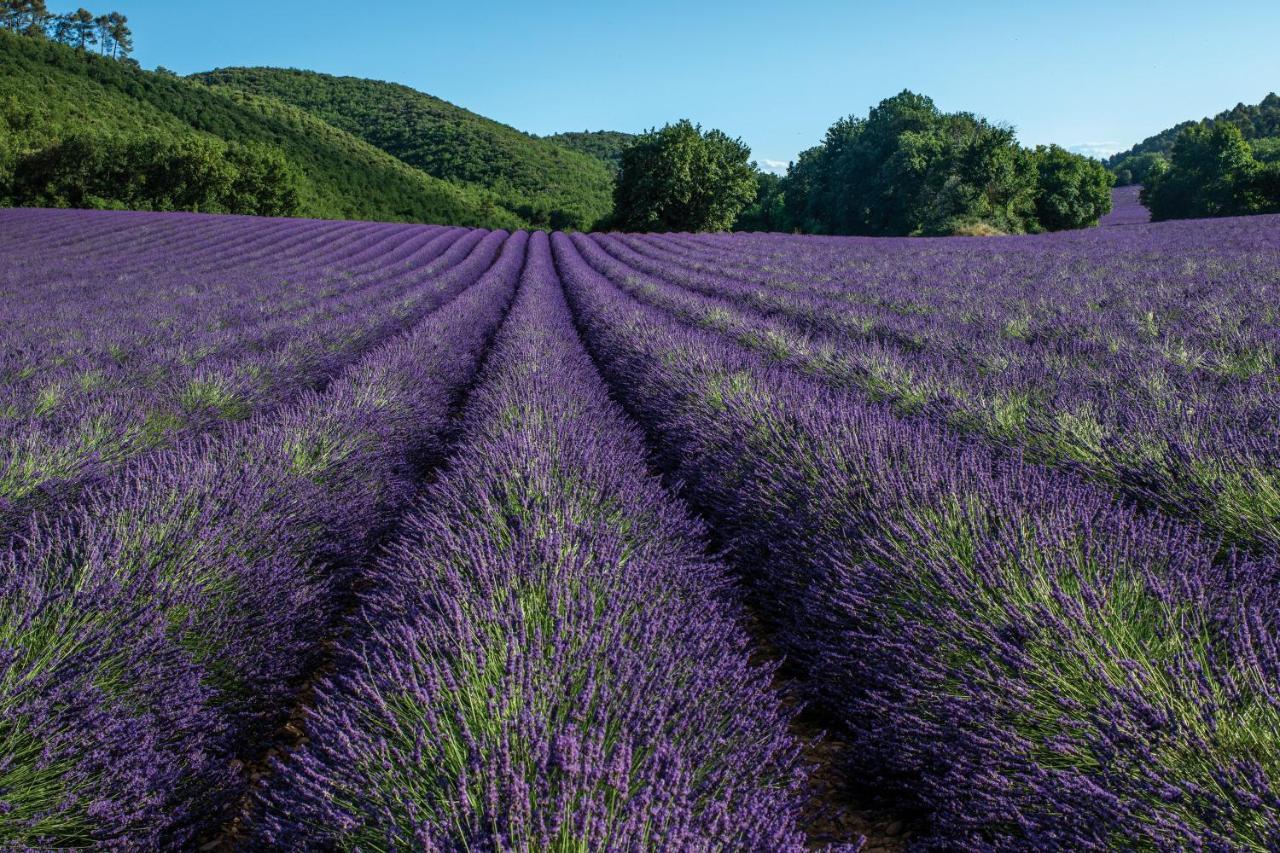 Club Vacances Bleues Domaine De Chateau Laval グレウー・レ・バン エクステリア 写真